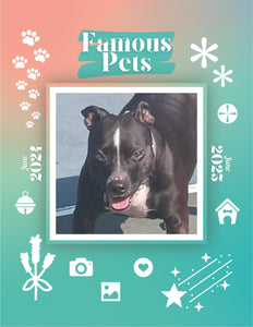 Famous Pets: June 2024-June 2025 Wall Calendar (Pre-Order)