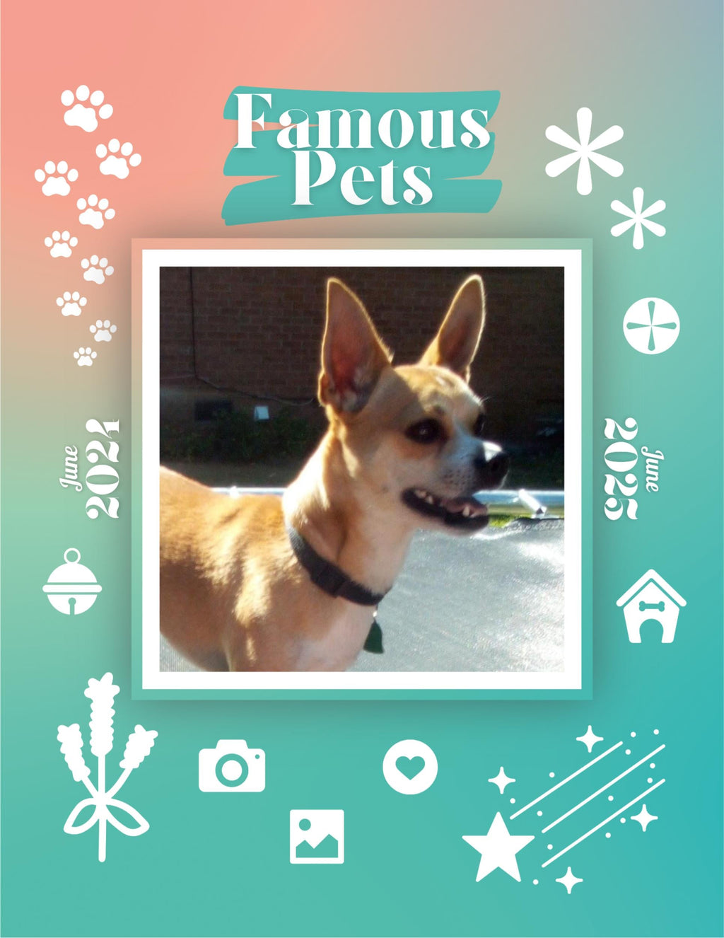 Famous Pets: June 2024-June 2025 Wall Calendar (Pre-Order)
