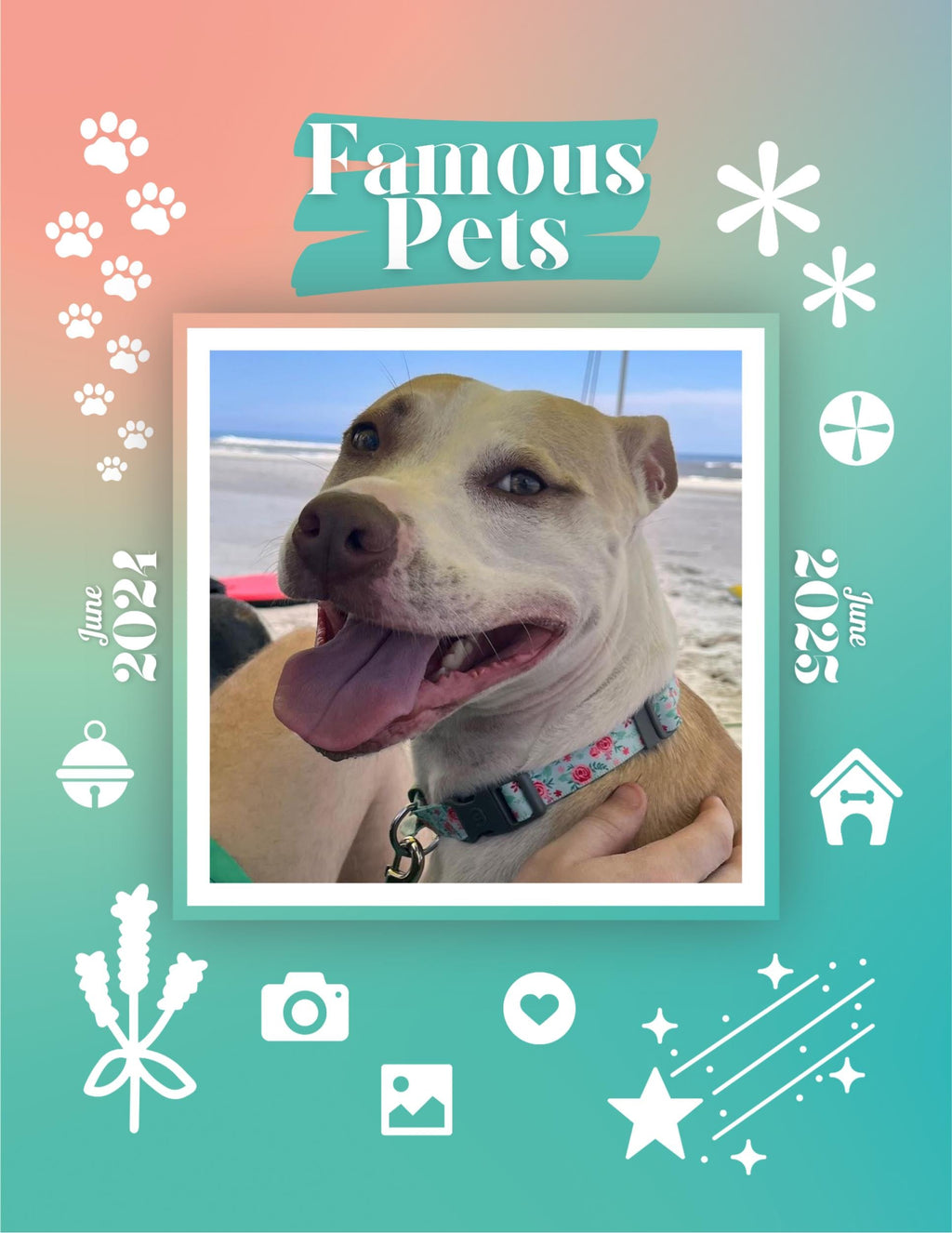 Famous Pets: June 2024-June 2025 Wall Calendar (Pre-Order)