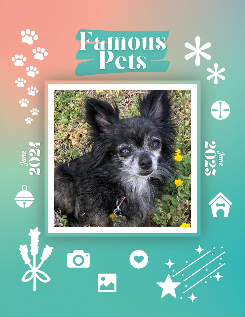 Famous Pets: June 2024-June 2025 Wall Calendar (Pre-Order)