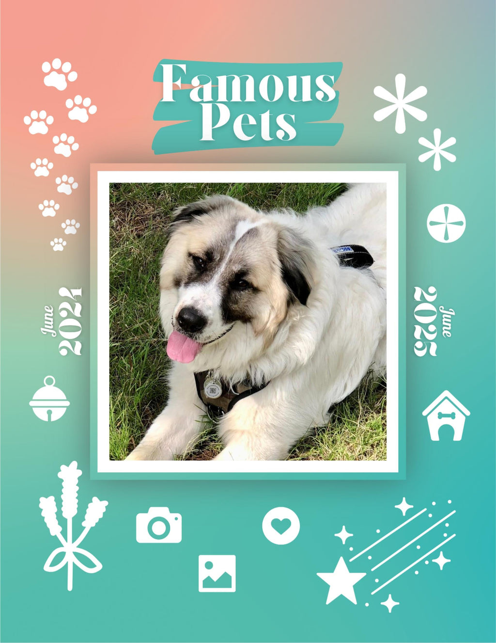Famous Pets: June 2024-June 2025 Wall Calendar (Pre-Order)