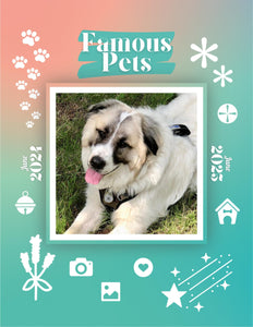 Famous Pets: June 2024-June 2025 Wall Calendar (Pre-Order)