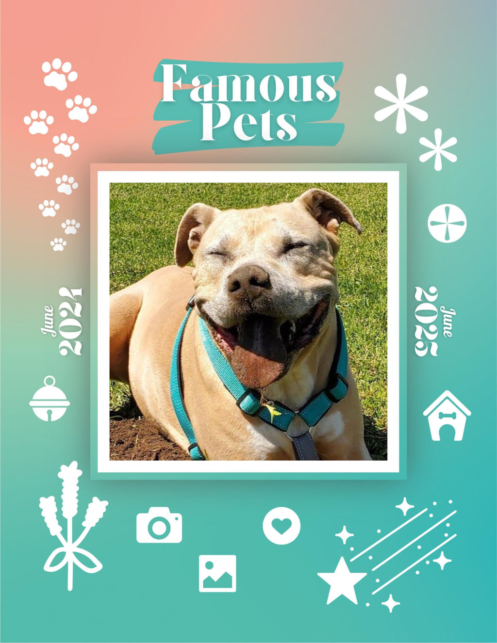 Famous Pets: June 2024-June 2025 Wall Calendar (Pre-Order)