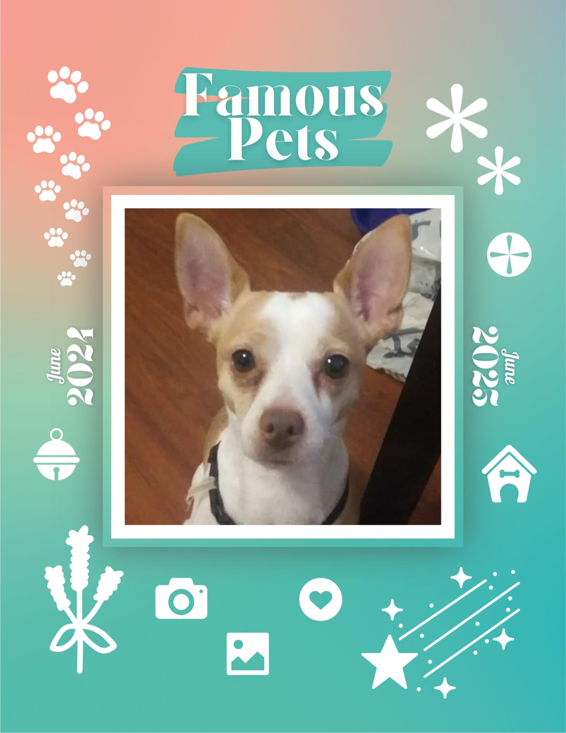 Famous Pets: June 2024-June 2025 Wall Calendar (Pre-Order)