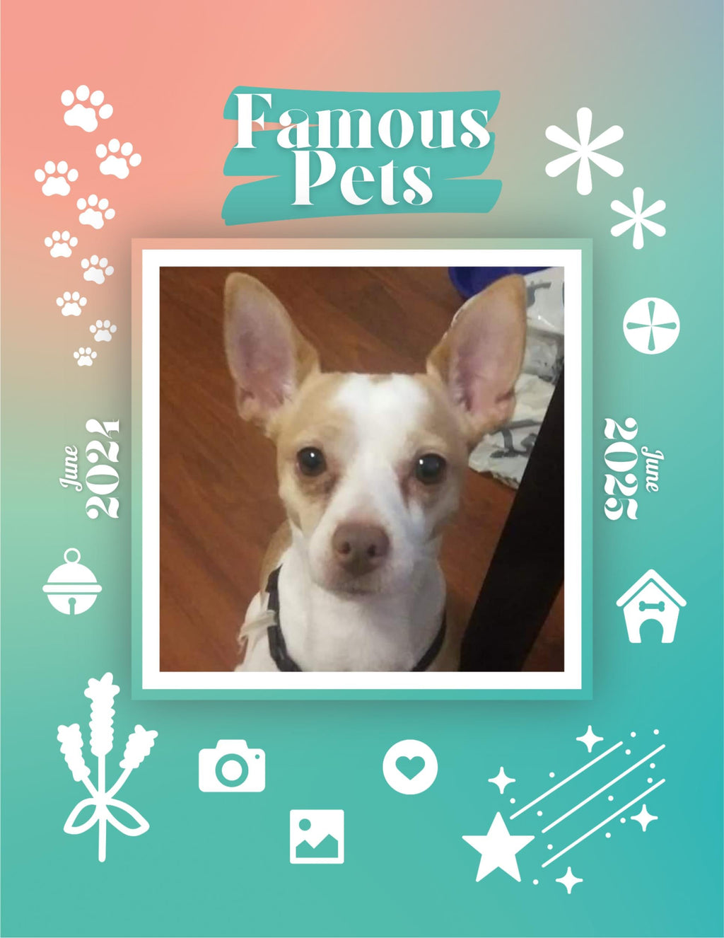 Famous Pets: June 2024-June 2025 Wall Calendar (Pre-Order)