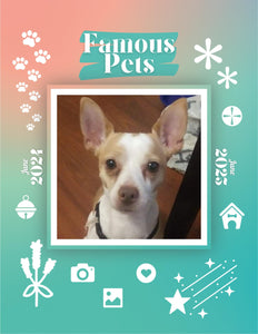 Famous Pets: June 2024-June 2025 Wall Calendar (Pre-Order)