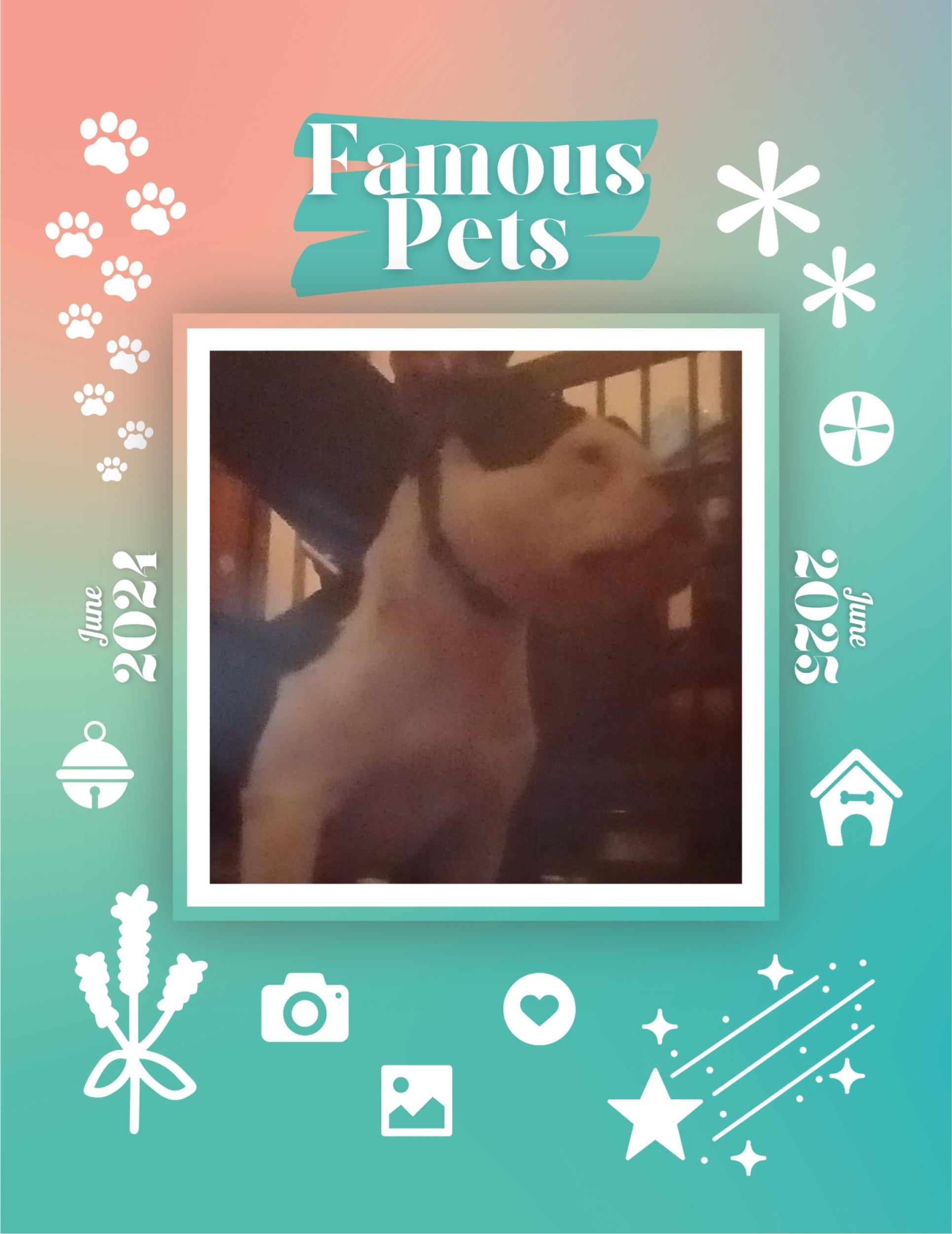 Famous Pets: June 2024-June 2025 Wall Calendar (Pre-Order)