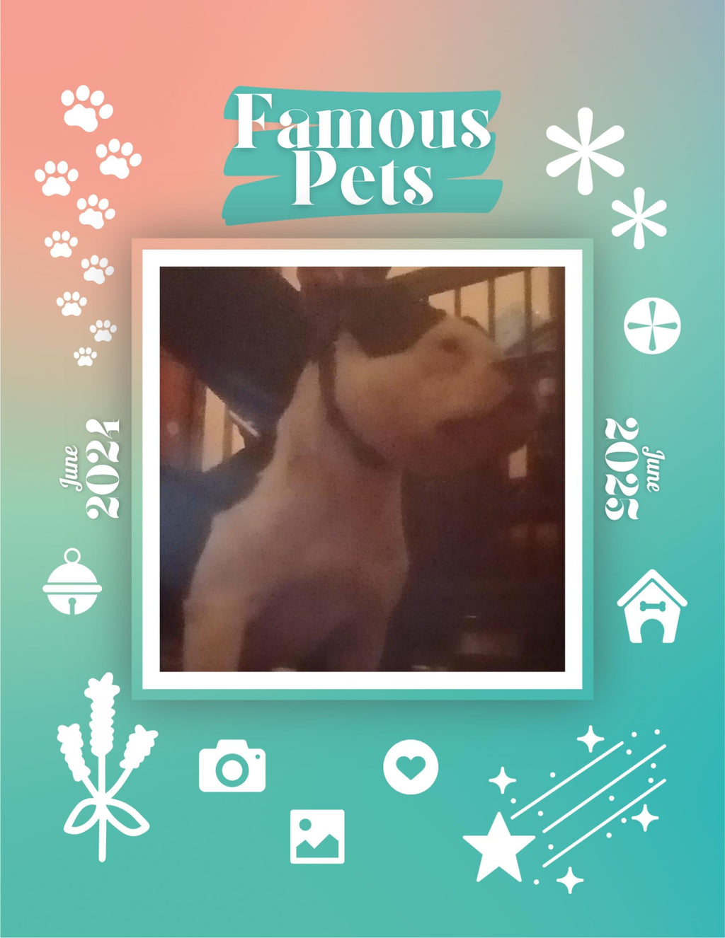 Famous Pets: June 2024-June 2025 Wall Calendar (Pre-Order)