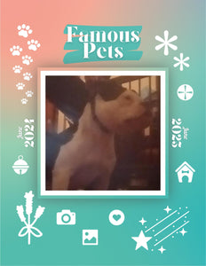 Famous Pets: June 2024-June 2025 Wall Calendar (Pre-Order)