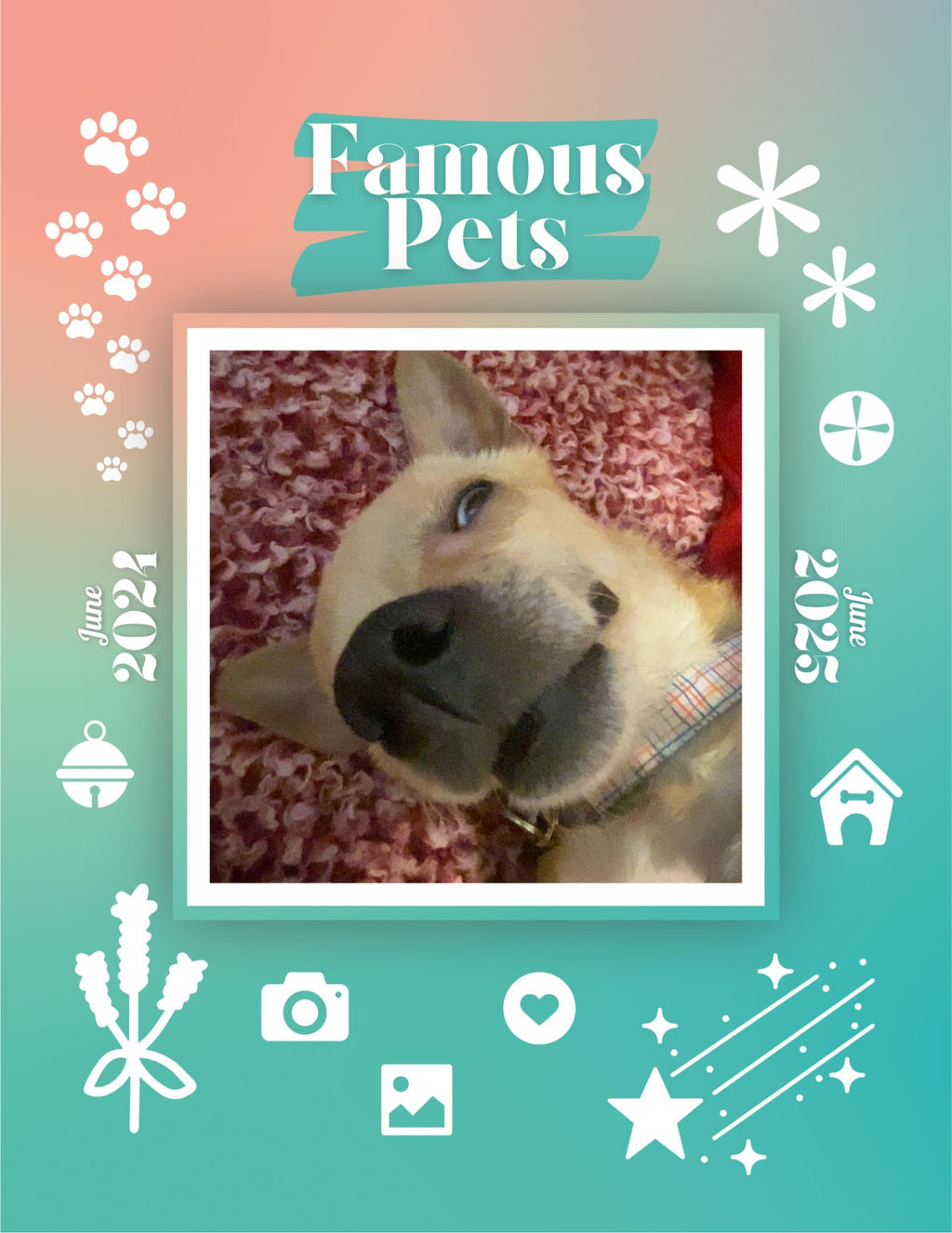 Famous Pets: June 2024-June 2025 Wall Calendar (Pre-Order)