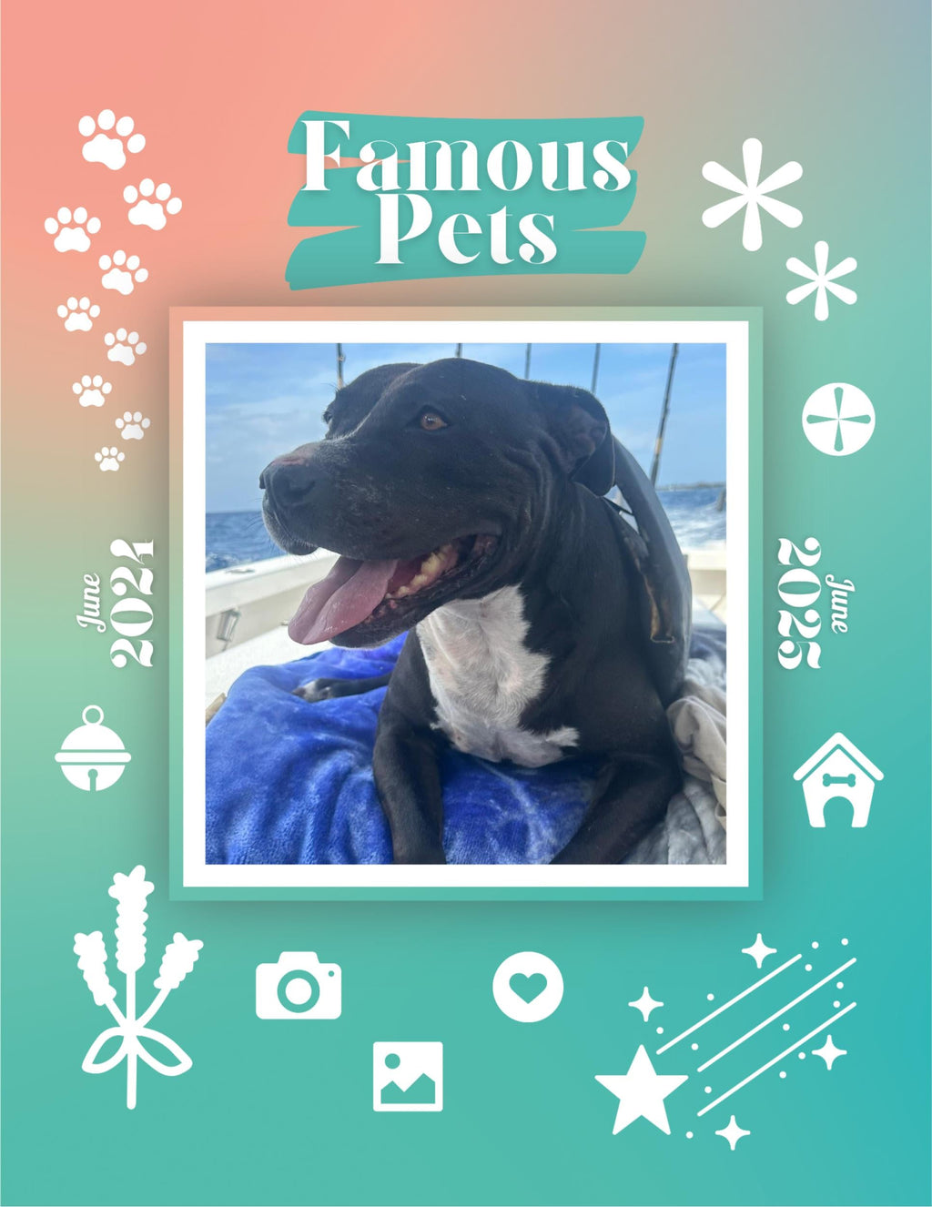 Famous Pets: June 2024-June 2025 Wall Calendar (Pre-Order)