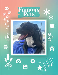 Famous Pets: June 2024-June 2025 Wall Calendar (Pre-Order)