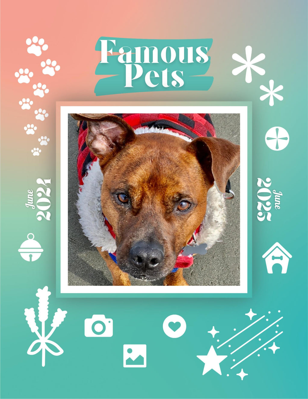 Famous Pets: June 2024-June 2025 Wall Calendar (Pre-Order)
