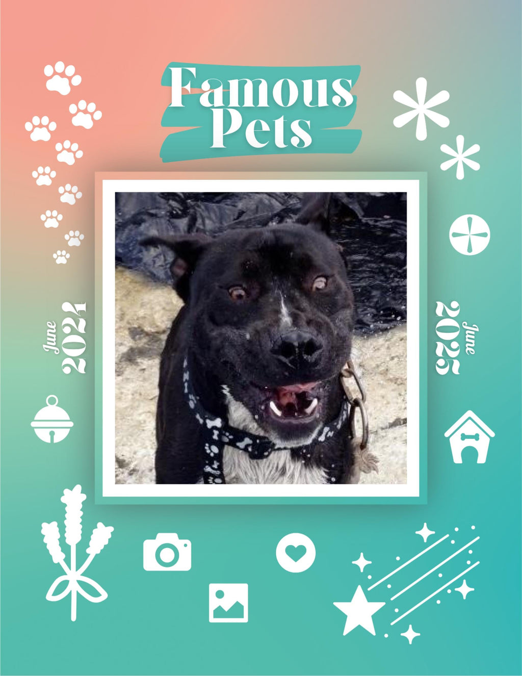Famous Pets: June 2024-June 2025 Wall Calendar (Pre-Order)