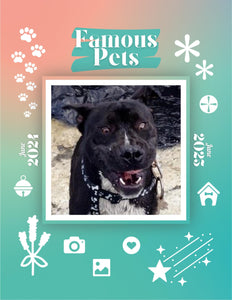 Famous Pets: June 2024-June 2025 Wall Calendar (Pre-Order)