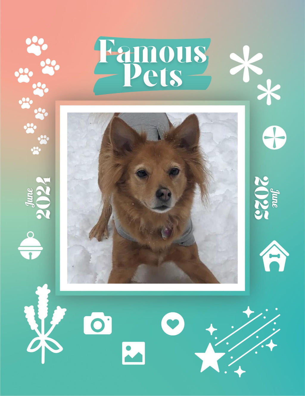 Famous Pets: June 2024-June 2025 Wall Calendar (Pre-Order)