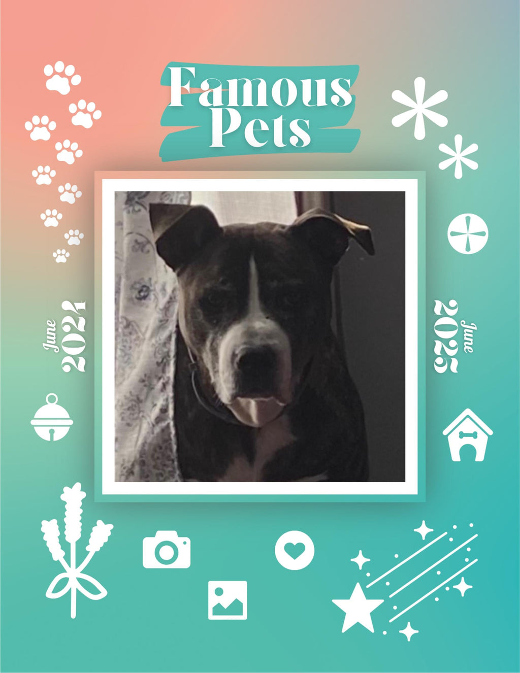 Famous Pets: June 2024-June 2025 Wall Calendar (Pre-Order)