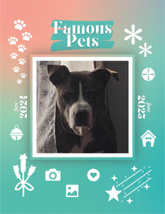 Famous Pets: June 2024-June 2025 Wall Calendar (Pre-Order)
