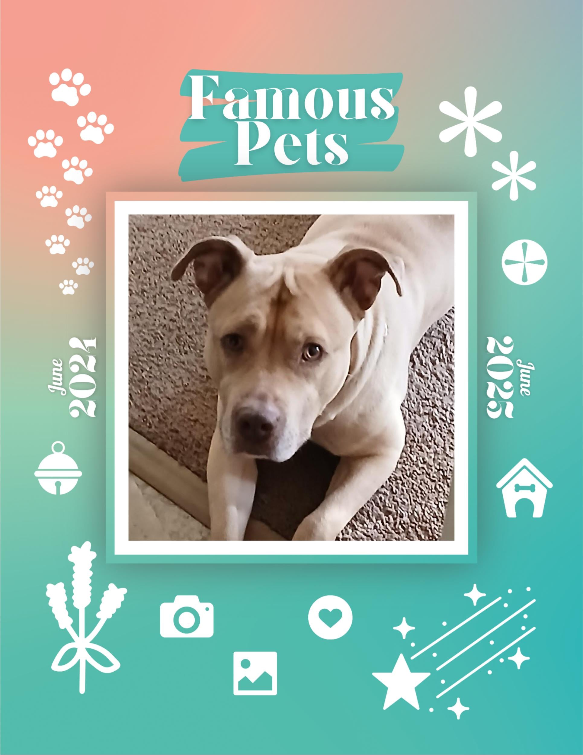 Famous Pets: June 2024-June 2025 Wall Calendar (Pre-Order)