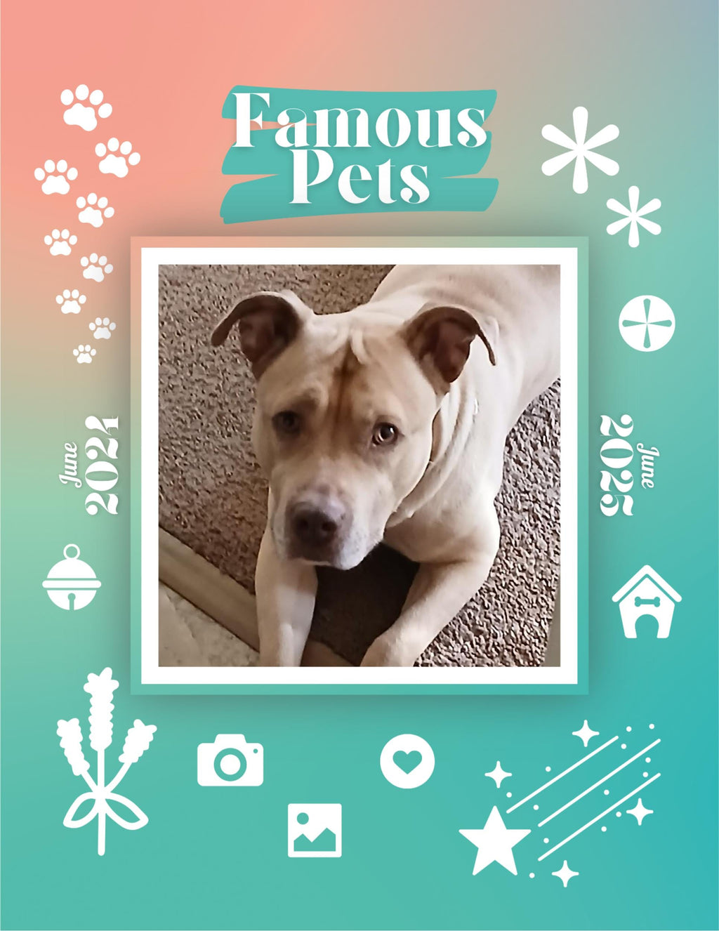 Famous Pets: June 2024-June 2025 Wall Calendar (Pre-Order)