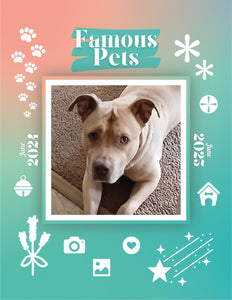 Famous Pets: June 2024-June 2025 Wall Calendar (Pre-Order)