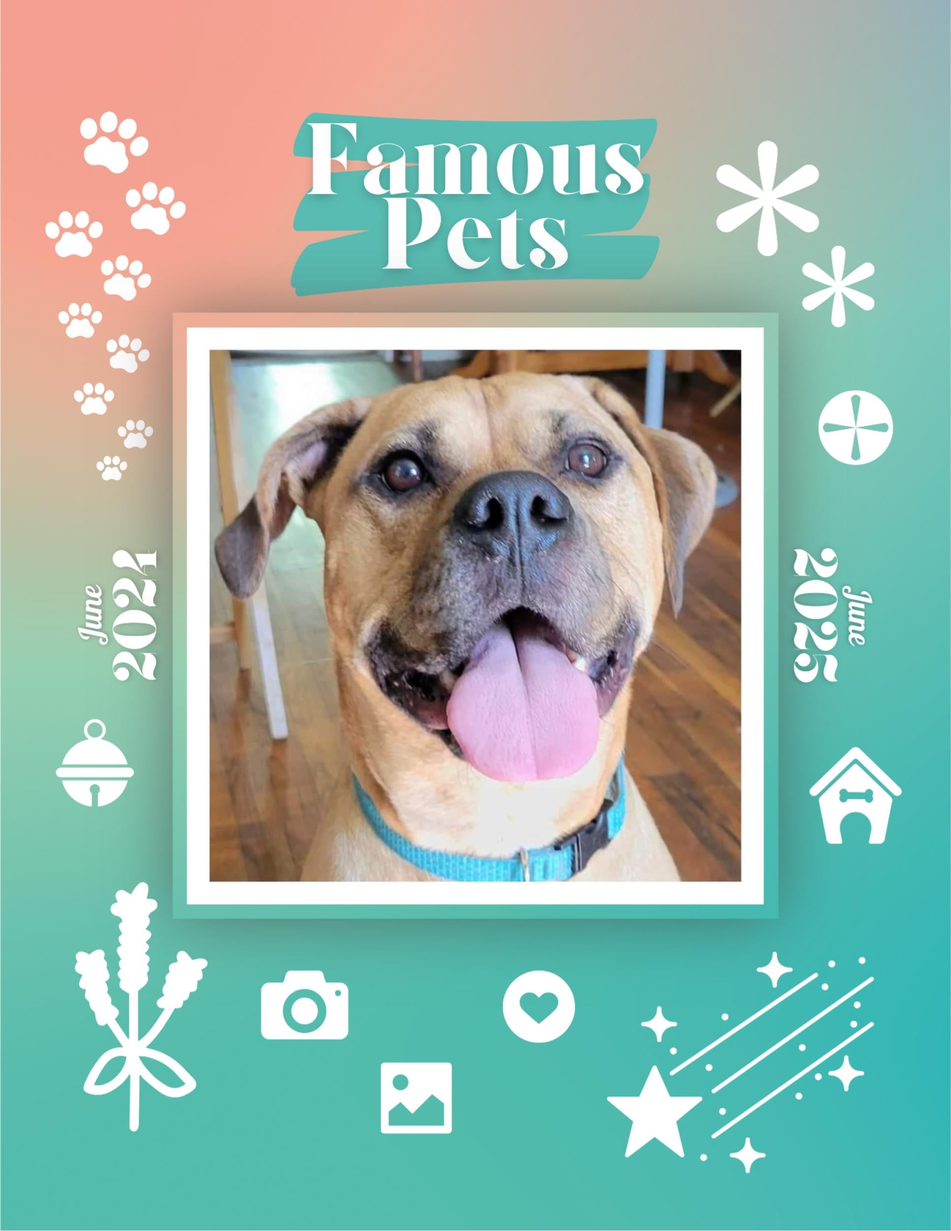Famous Pets: June 2024-June 2025 Wall Calendar (Pre-Order)