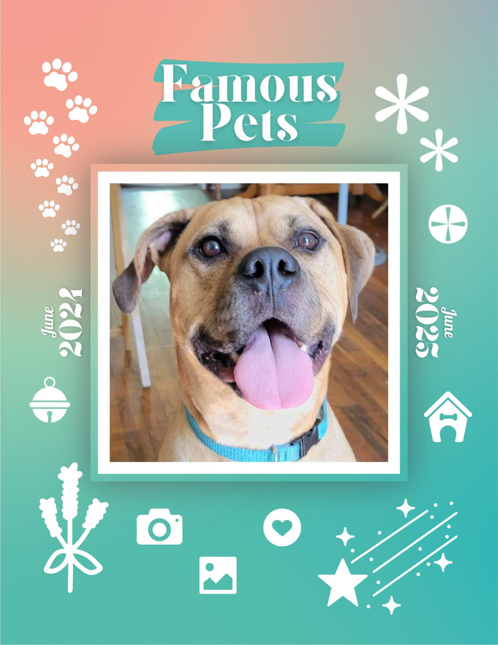 Famous Pets: June 2024-June 2025 Wall Calendar (Pre-Order)