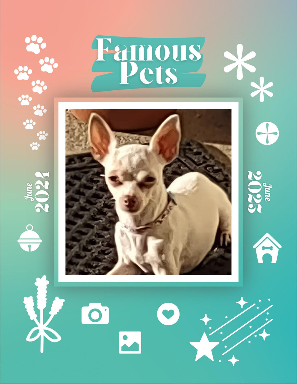 Famous Pets: June 2024-June 2025 Wall Calendar (Pre-Order)