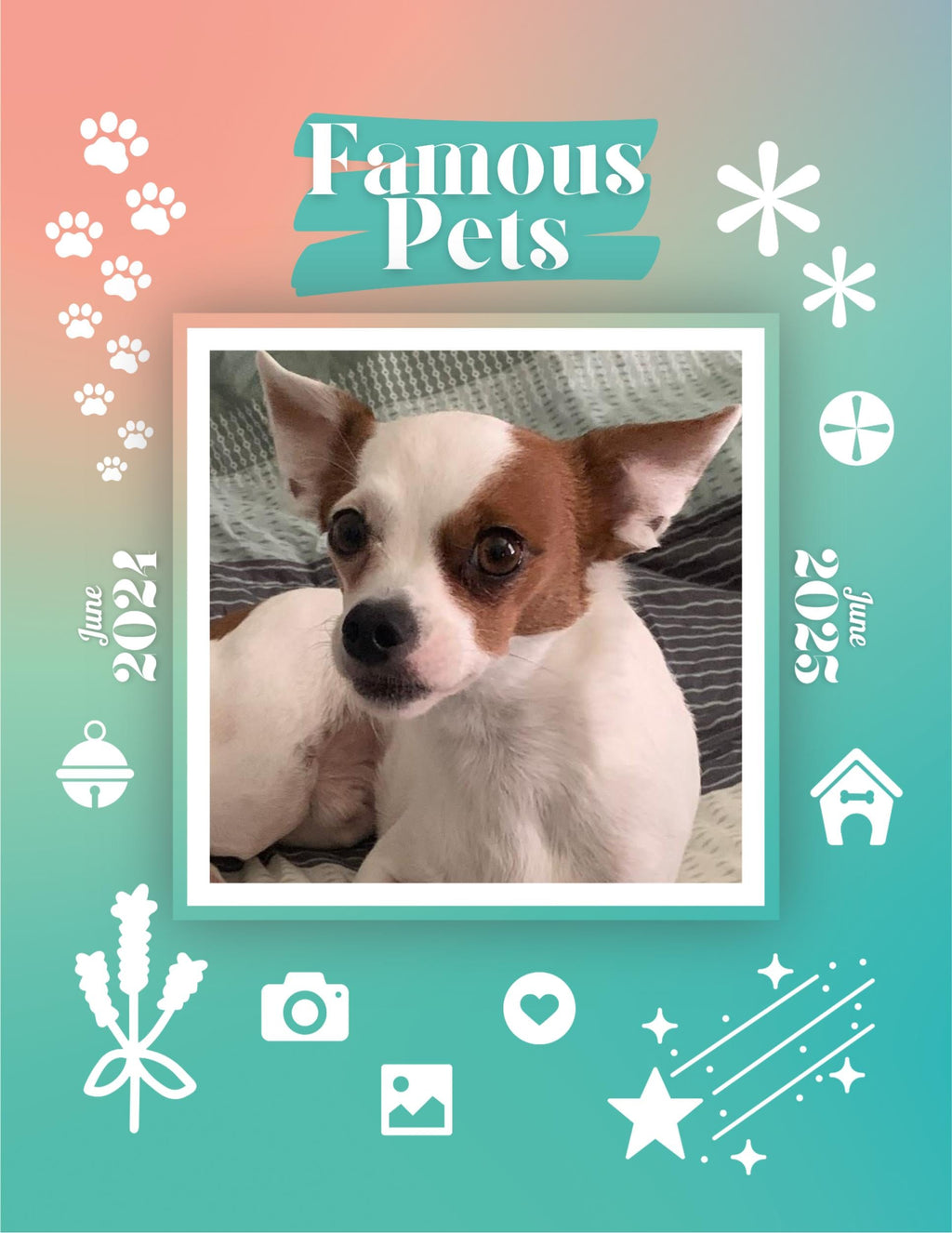 Famous Pets: June 2024-June 2025 Wall Calendar (Pre-Order)