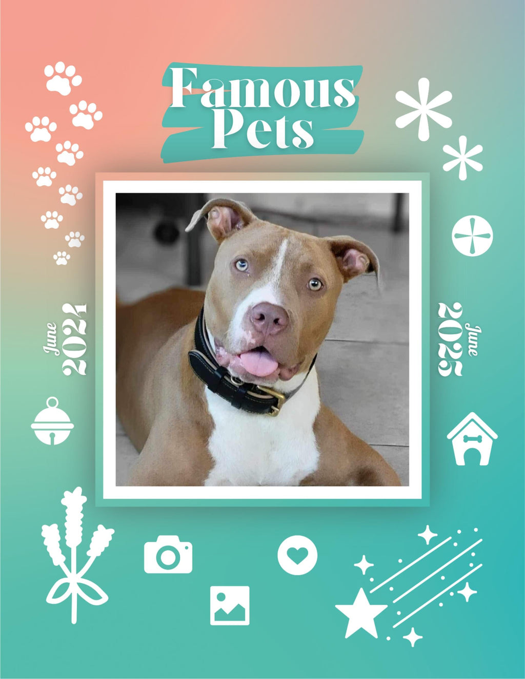 Famous Pets: June 2024-June 2025 Wall Calendar (Pre-Order)