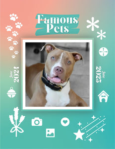 Famous Pets: June 2024-June 2025 Wall Calendar (Pre-Order)