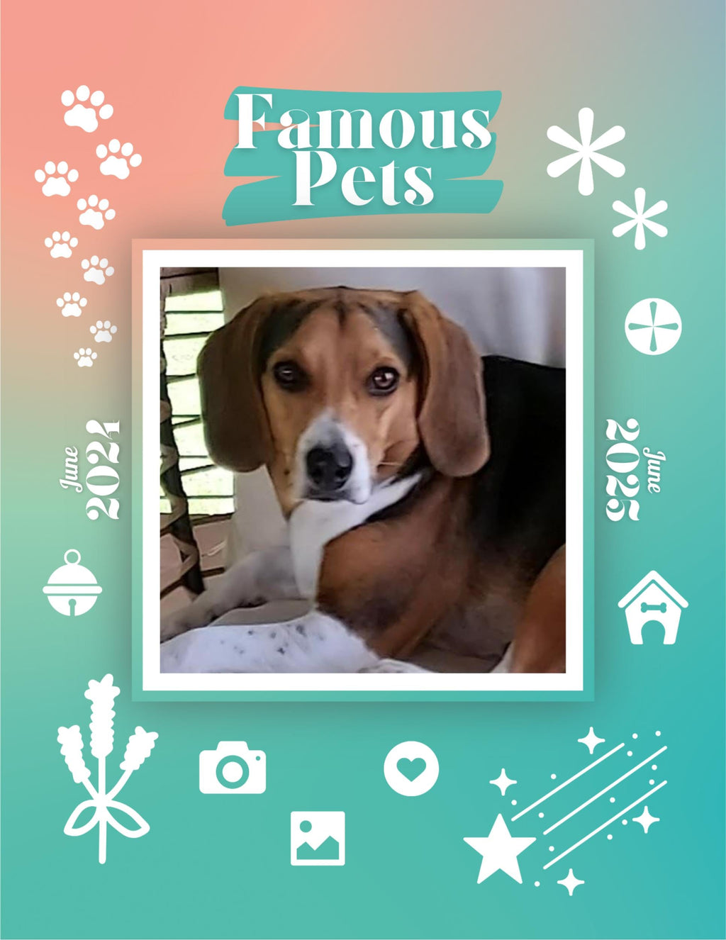 Famous Pets: June 2024-June 2025 Wall Calendar (Pre-Order)