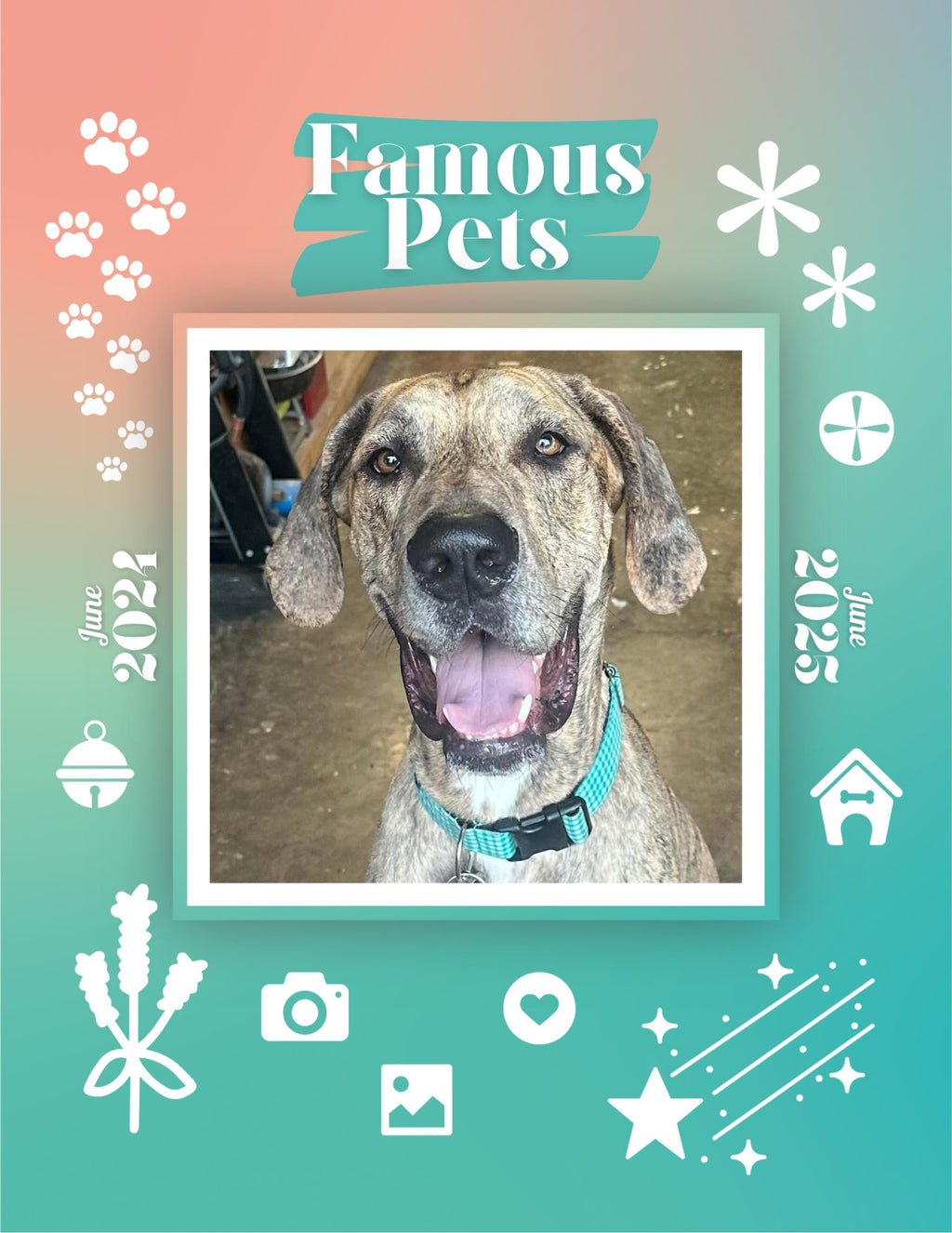 Famous Pets: June 2024-June 2025 Wall Calendar (Pre-Order)