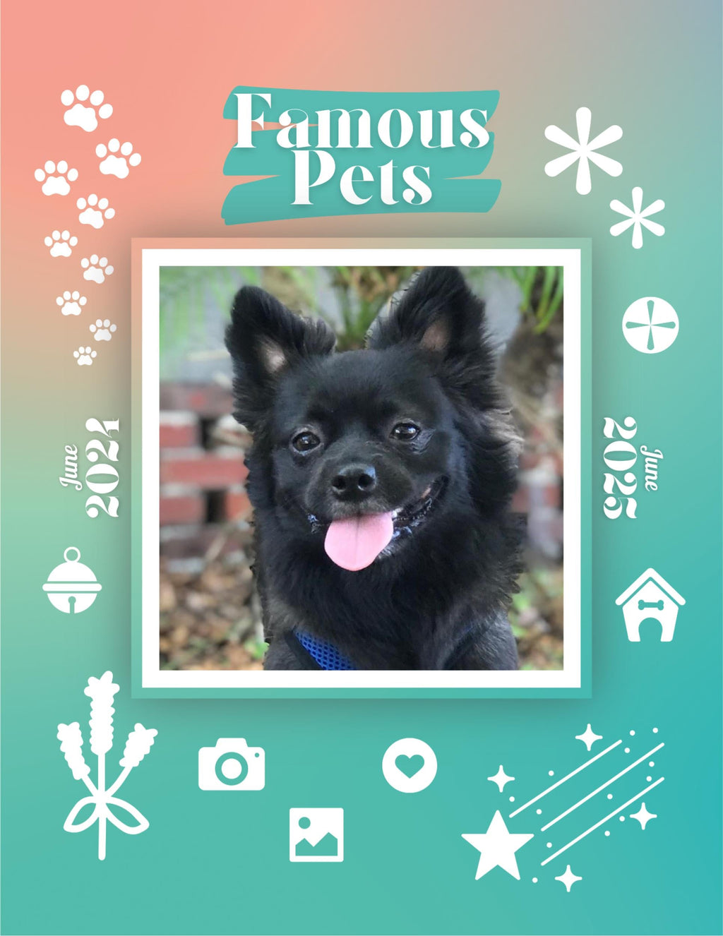 Famous Pets: June 2024-June 2025 Wall Calendar (Pre-Order)