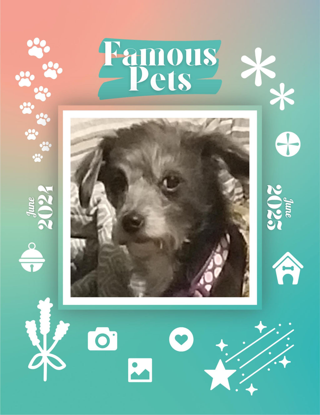 Famous Pets: June 2024-June 2025 Wall Calendar (Pre-Order)