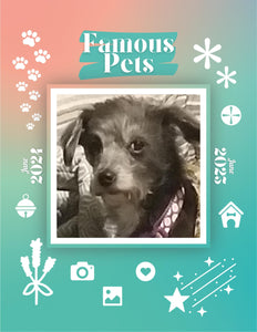 Famous Pets: June 2024-June 2025 Wall Calendar (Pre-Order)