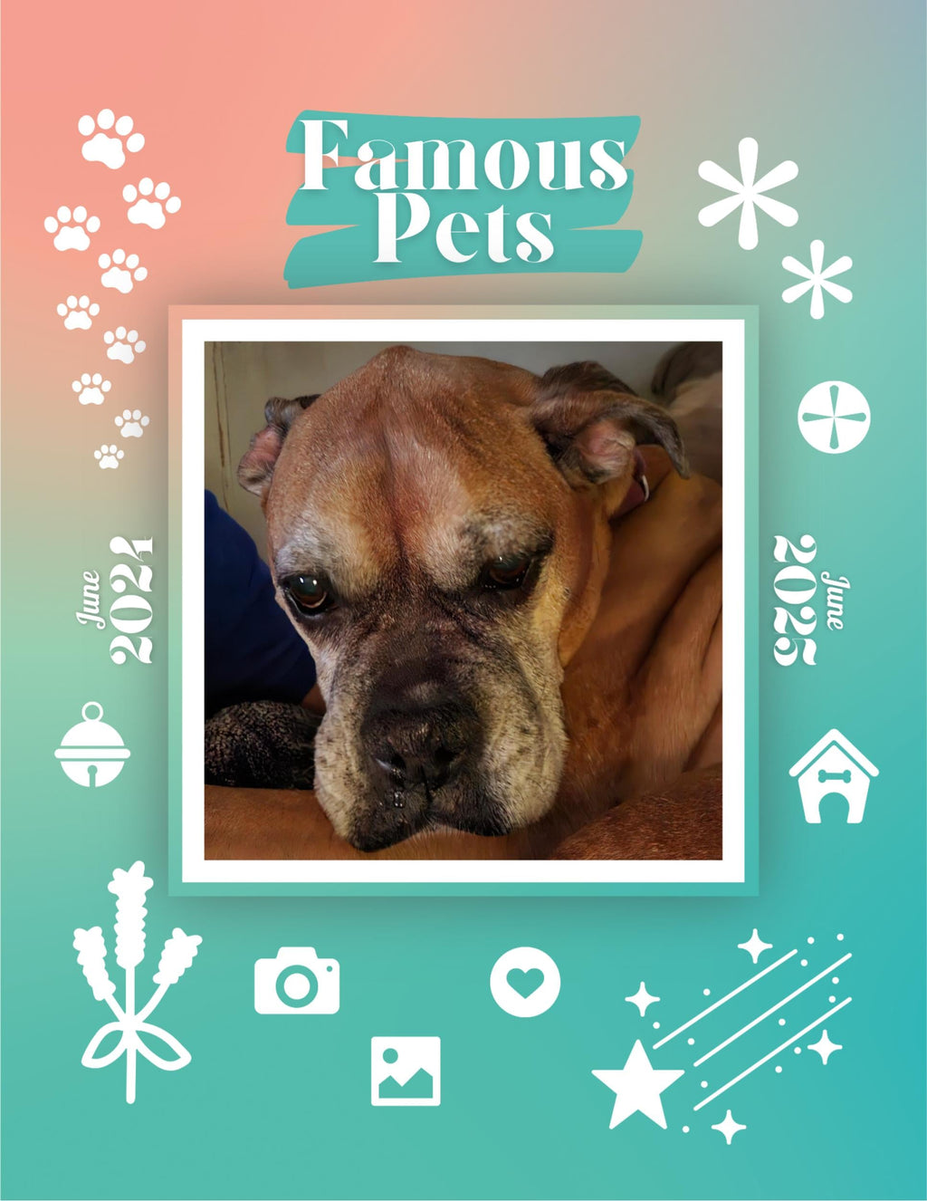 Famous Pets: June 2024-June 2025 Wall Calendar (Pre-Order)