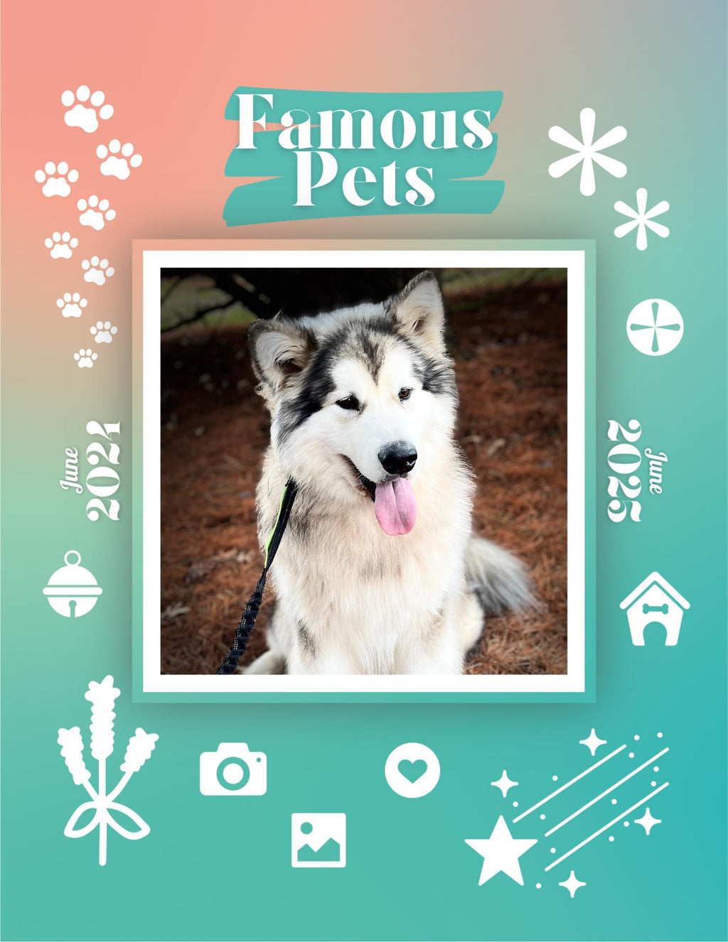 Famous Pets: June 2024-June 2025 Wall Calendar (Pre-Order)