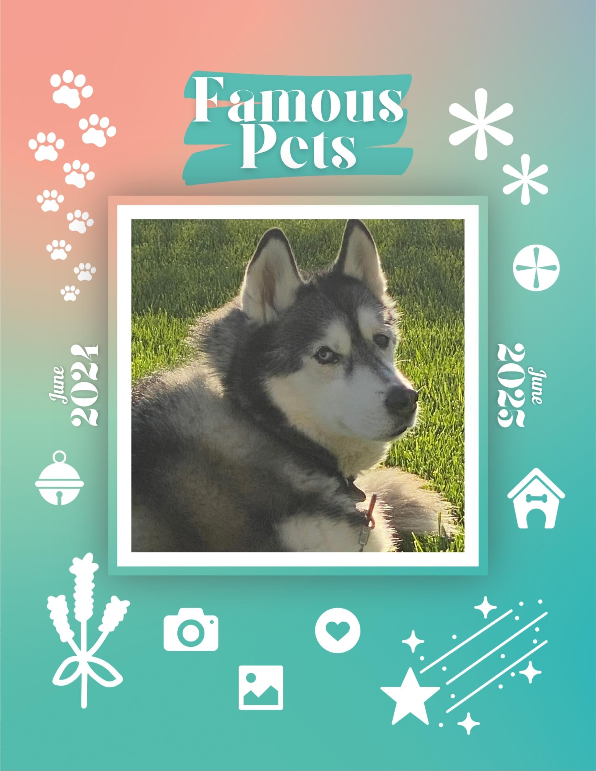 Famous Pets: June 2024-June 2025 Wall Calendar (Pre-Order)