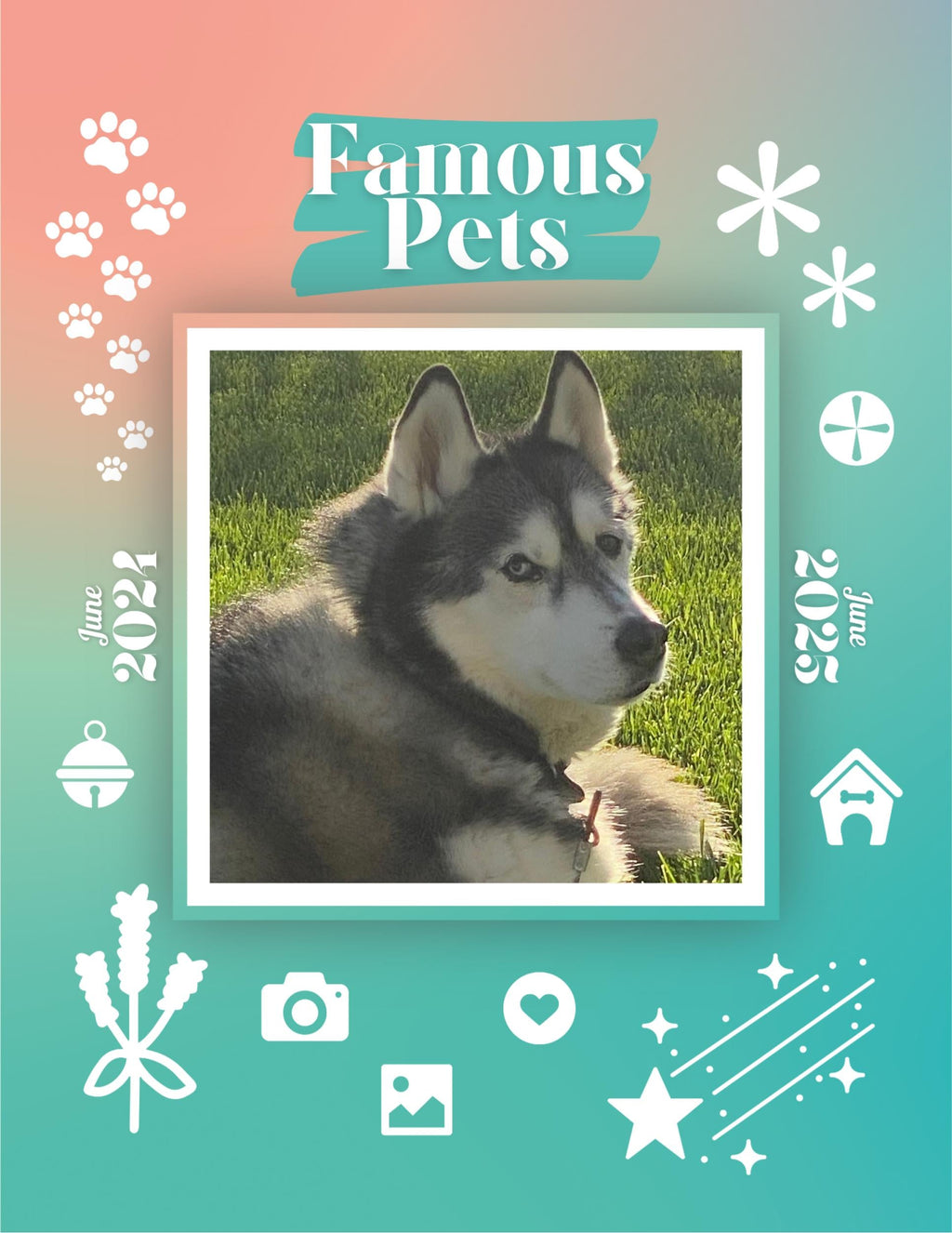 Famous Pets: June 2024-June 2025 Wall Calendar (Pre-Order)