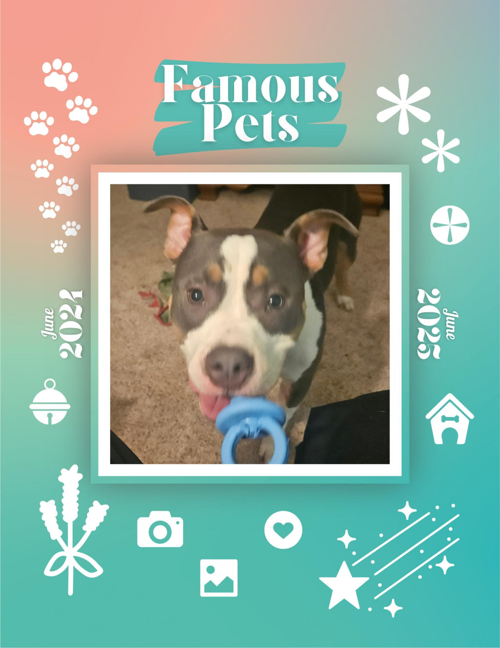 Famous Pets: June 2024-June 2025 Wall Calendar (Pre-Order)