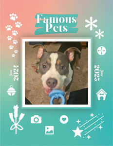 Famous Pets: June 2024-June 2025 Wall Calendar (Pre-Order)