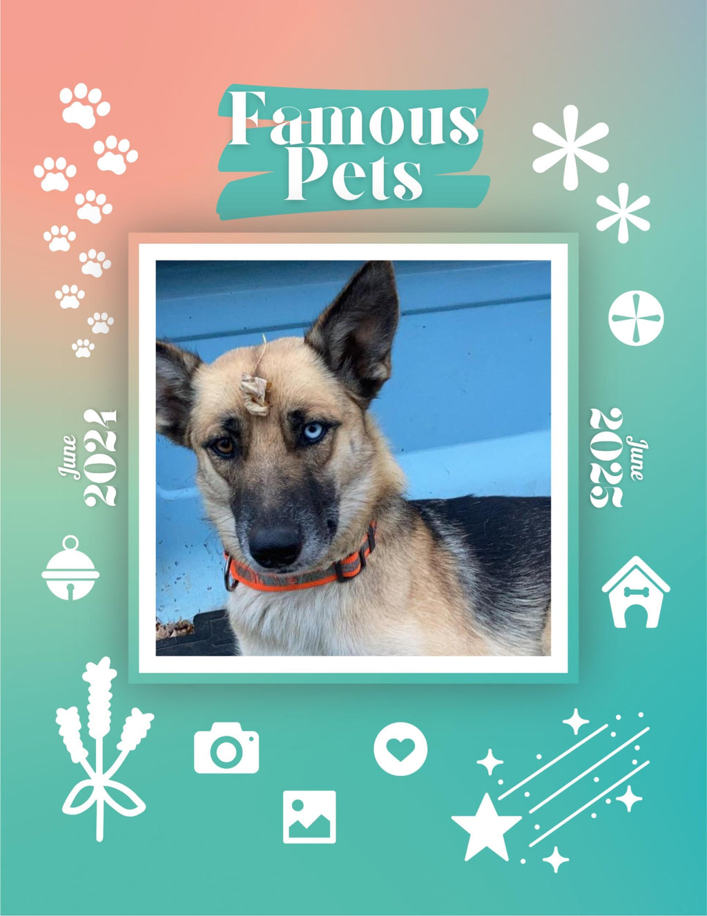 Famous Pets: June 2024-June 2025 Wall Calendar (Pre-Order)