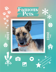 Famous Pets: June 2024-June 2025 Wall Calendar (Pre-Order)