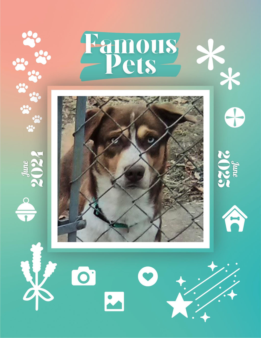 Famous Pets: June 2024-June 2025 Wall Calendar (Pre-Order)