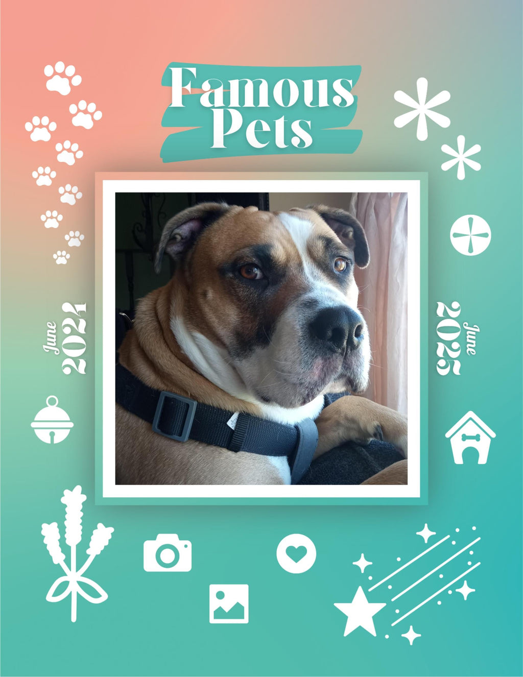 Famous Pets: June 2024-June 2025 Wall Calendar (Pre-Order)