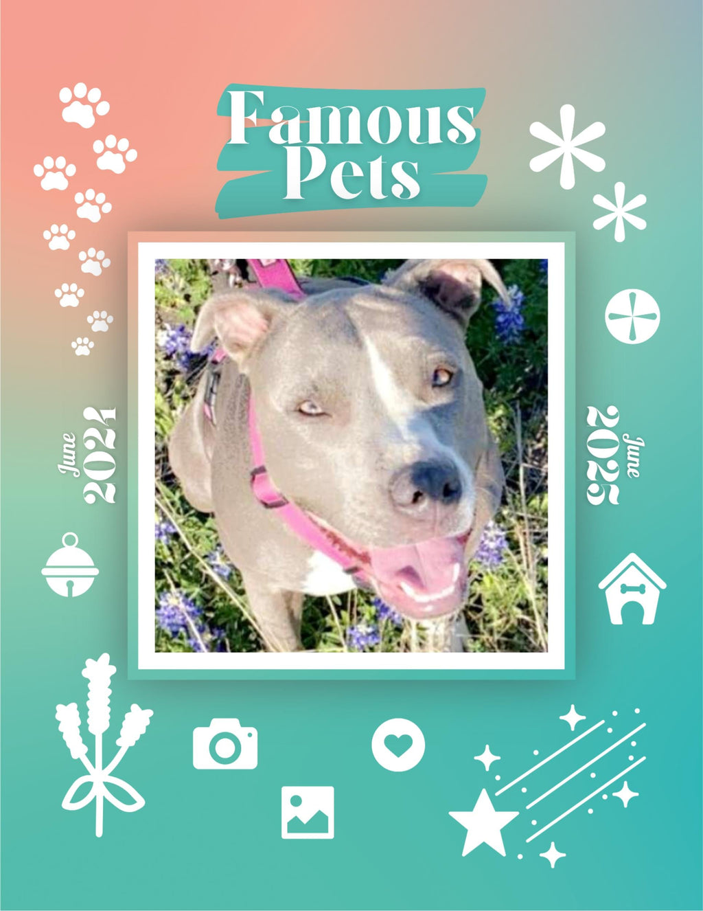 Famous Pets: June 2024-June 2025 Wall Calendar (Pre-Order)