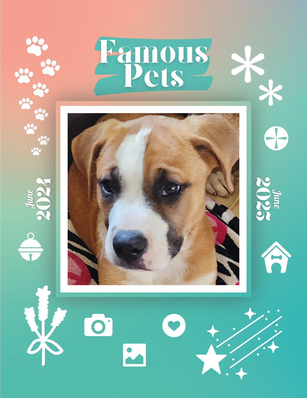 Famous Pets: June 2024-June 2025 Wall Calendar (Pre-Order)