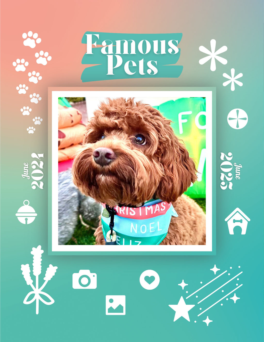 Famous Pets: June 2024-June 2025 Wall Calendar (Pre-Order)