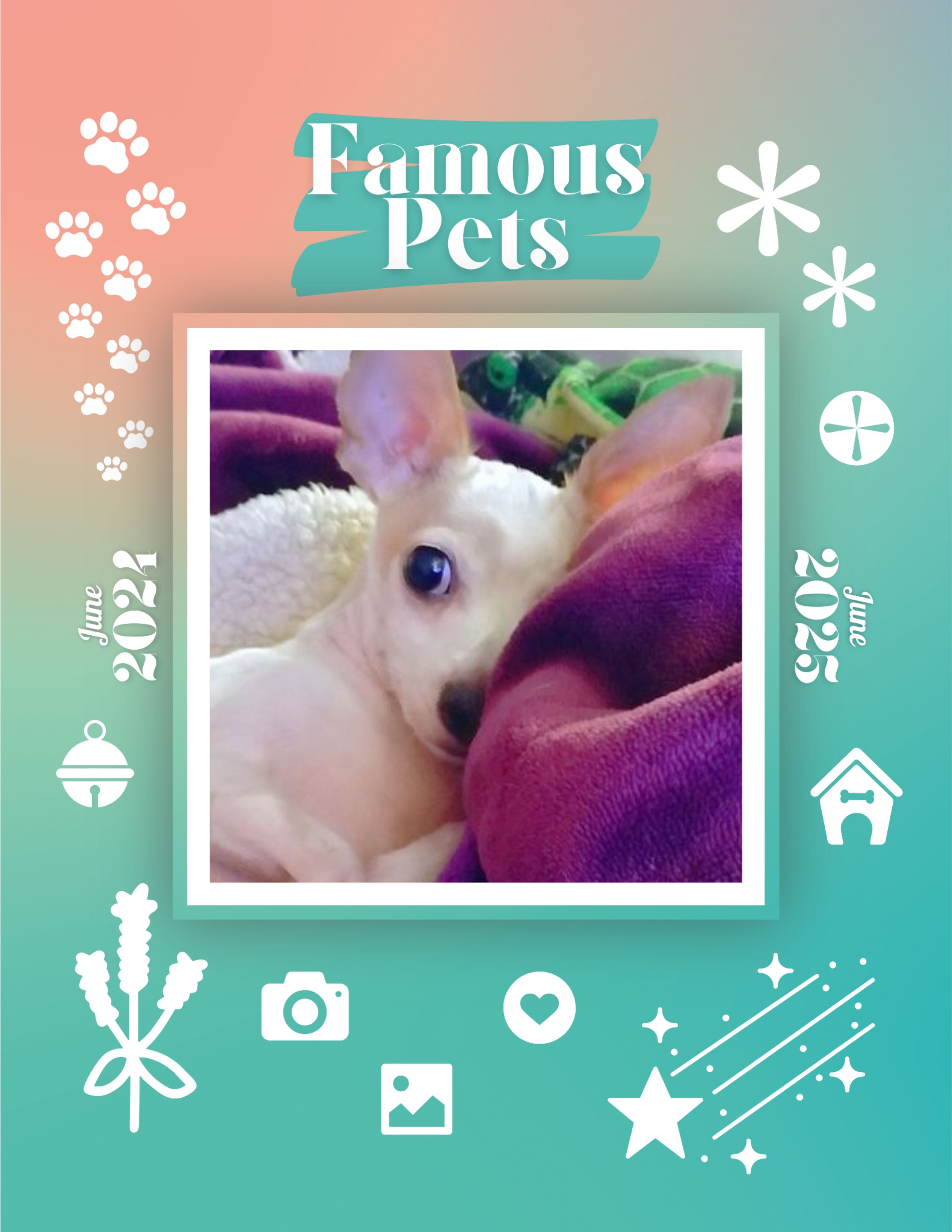Famous Pets: June 2024-June 2025 Wall Calendar (Pre-Order)